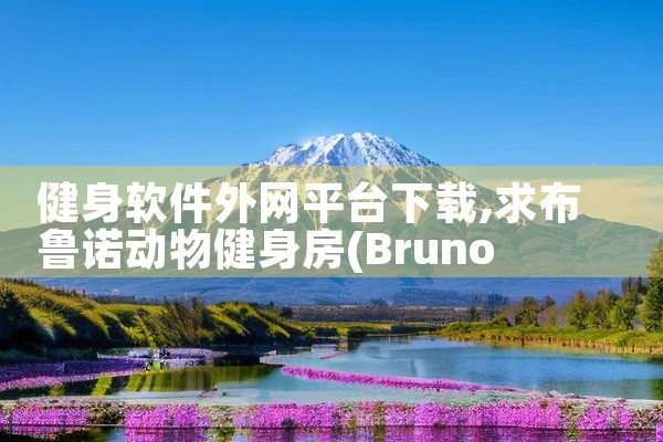 健身软件外网平台下载