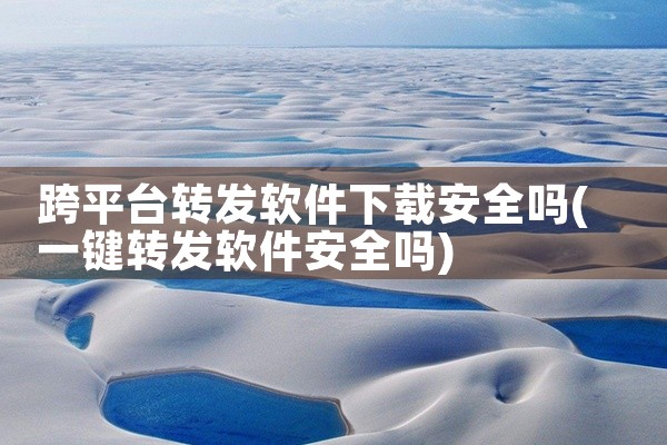跨平台转发软件下载安全吗