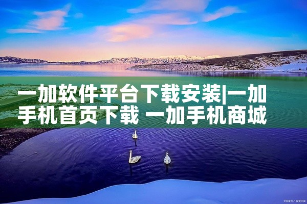 一加软件平台下载安装
