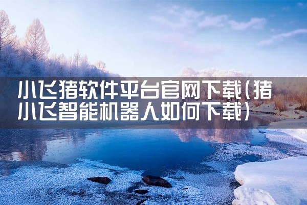 小飞猪软件平台官网下载