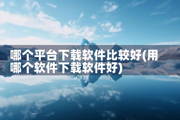 哪个平台下载软件比较好